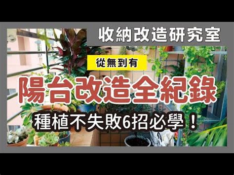 陽台適合的植物|【陽台植栽】15 種陽台植栽推薦｜新手也能輕鬆養出 